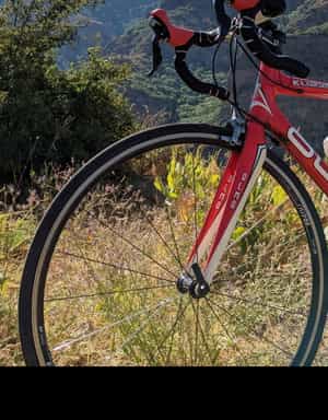 fulcrum racing 5