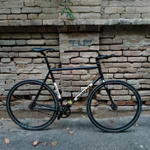 Kona Pady Wagon